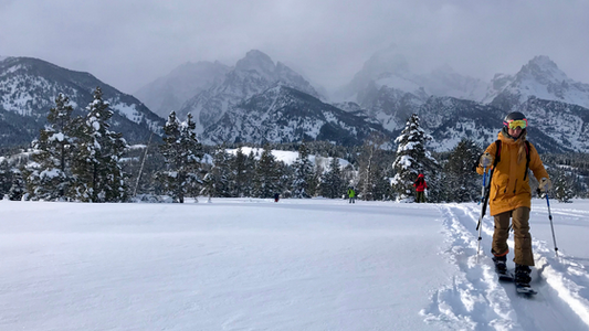 10 Pro Tips For Aspiring Splitboard Guides