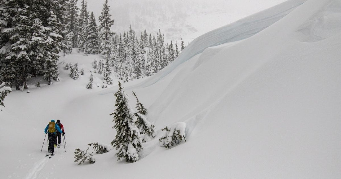 Best Backcountry Zones To Explore Near Seattle: The Full Scoop