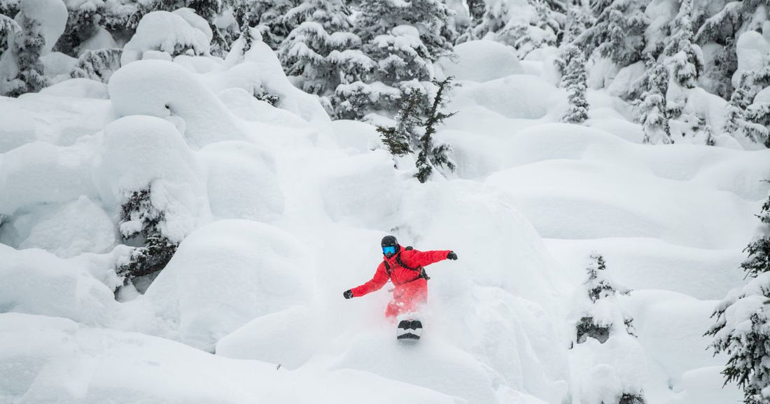 The Splitboard Show