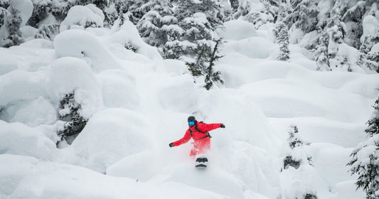 The Splitboard Show