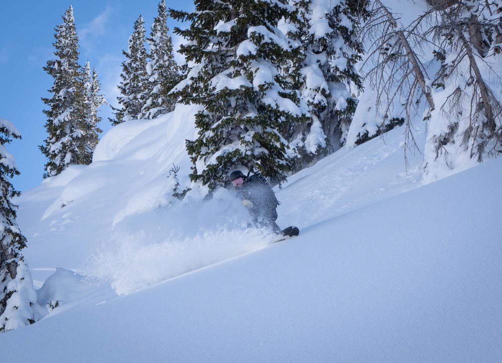 splitboarder riding a weston eclipse splitboard making a heelside turn in deep snow spraying a powder cloud