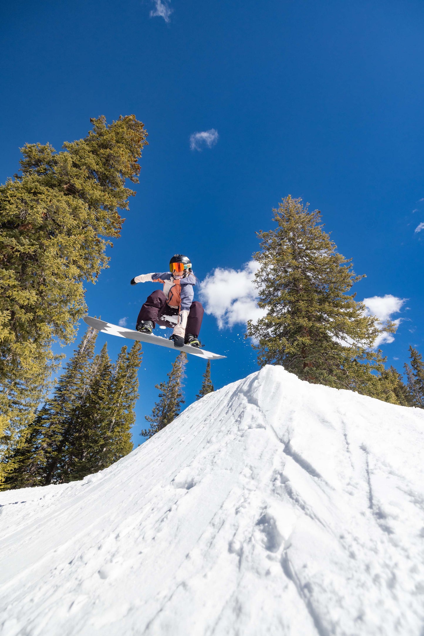 Riva Snowboard