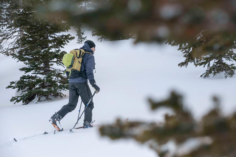 backcountry skier with a yellow pack touring in a snowy forest on the weston summit skis