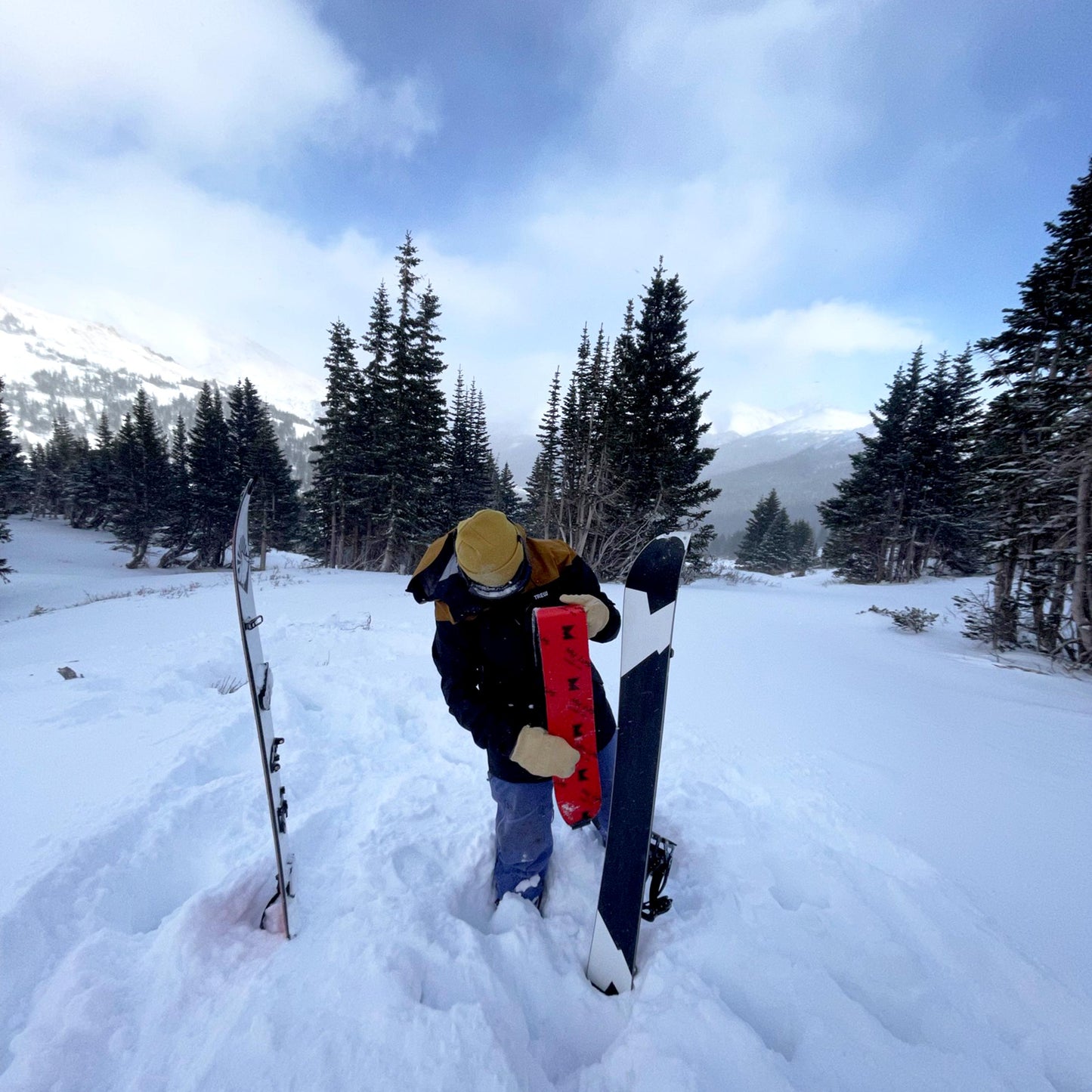 Weston Approach Splitboard Skins