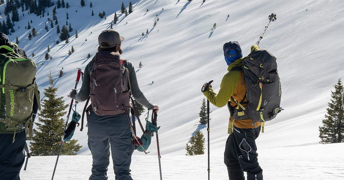 Two splitboarders facing a snowy mountain and standing and conversing with a ski pole pointed in the air towards the mountain face