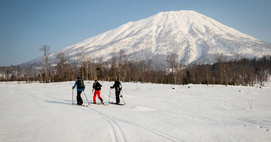 The Ultimate Guide to Riding in Japan: Pow, Culture & Onsens